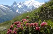 Mont Blanc - wejście na szczyt/12