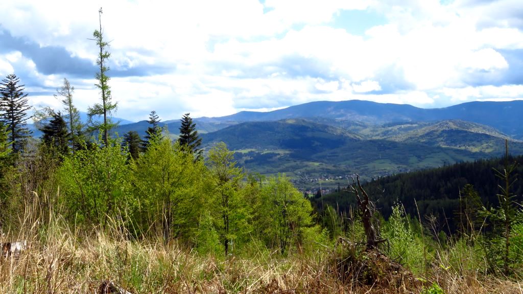 Beskid Żywiecki