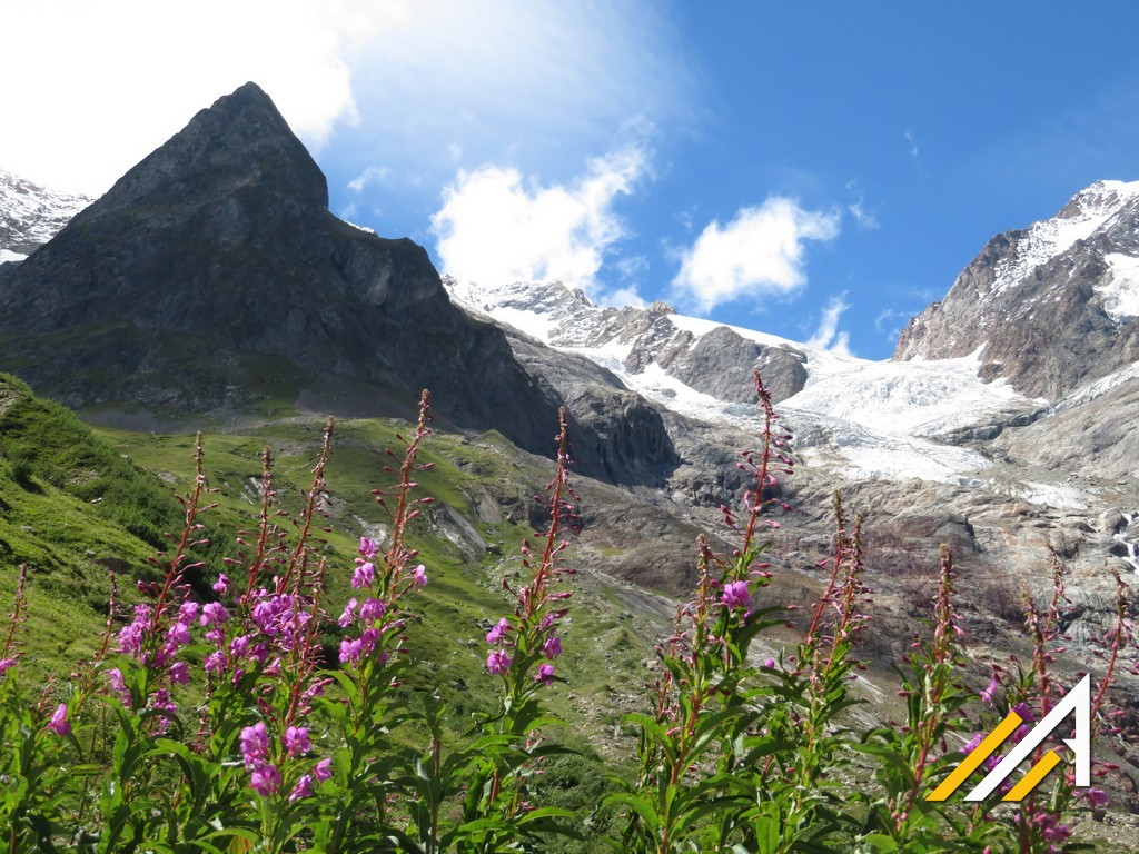 Alpy,Tour du Mont Blanc. Wycieczka alpejska do doliny Val Veny