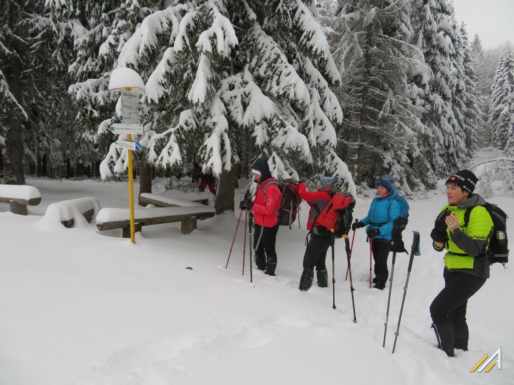 Wielka Rycerzowa - Przełęcz Przysłop, Beskid Żywiecki, trekking górski.