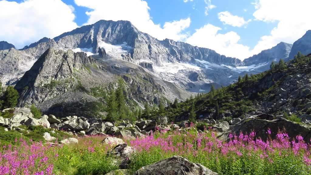 Trekking w Alpach. Wycieczka w góry Adamello Presanella, rejon Passo Tonale