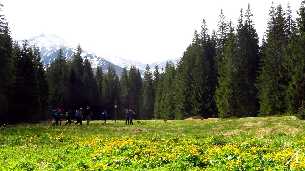 Trekking w Tatrach. Dolina Kościeliska i Hala Ornak