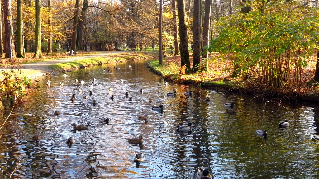 Beskidy, Żywiec, park w stylu angielskim