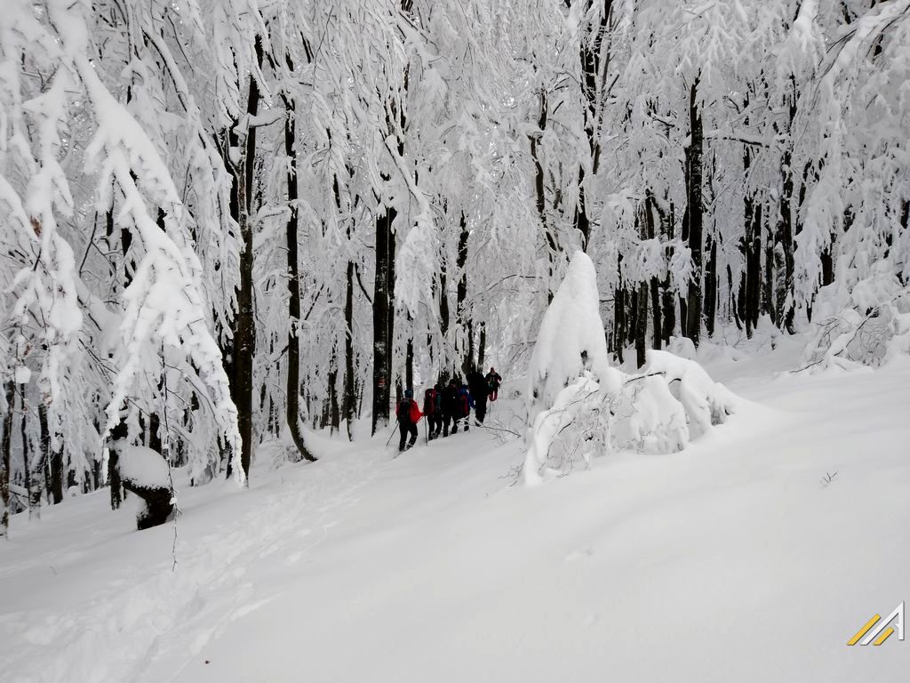 Kurs turystyki zimowej, Beskid Żywiecki. Na szlaku Rycerka Górna Kolonia - Wielka Racza