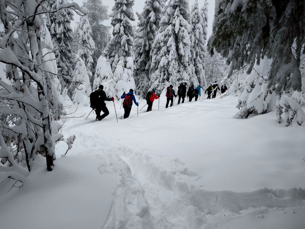 Kurs Turystyki zimowej. Beskid Żywiecki, na szlaku Wielka Racza - Przegibek