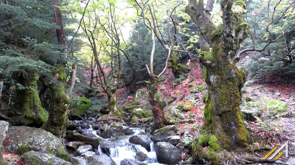 Wakacje w Grecji, trekking. Góry Tajget