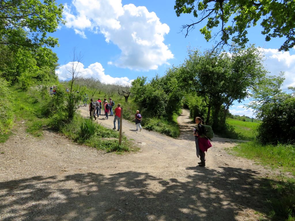 Trekking w Toskanii, z Montepulciano do Monticchiello